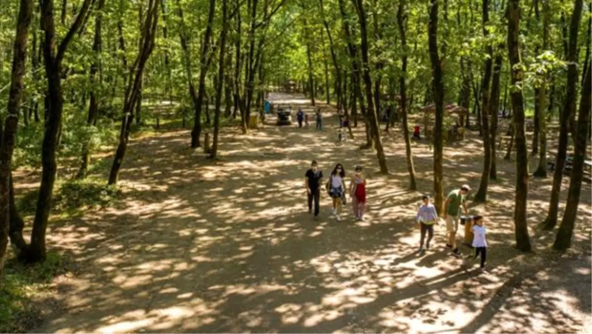 Avrupa'nın en büyük doğal yaşam parkı 5 milyon ziyaretçiyi ağırladı