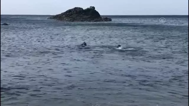 Botla açıldığı denizde kaybolan genci arama çalışmaları sürüyor Botla açıldığı denizde kaybolan genci arama çalışmaları sürüyor