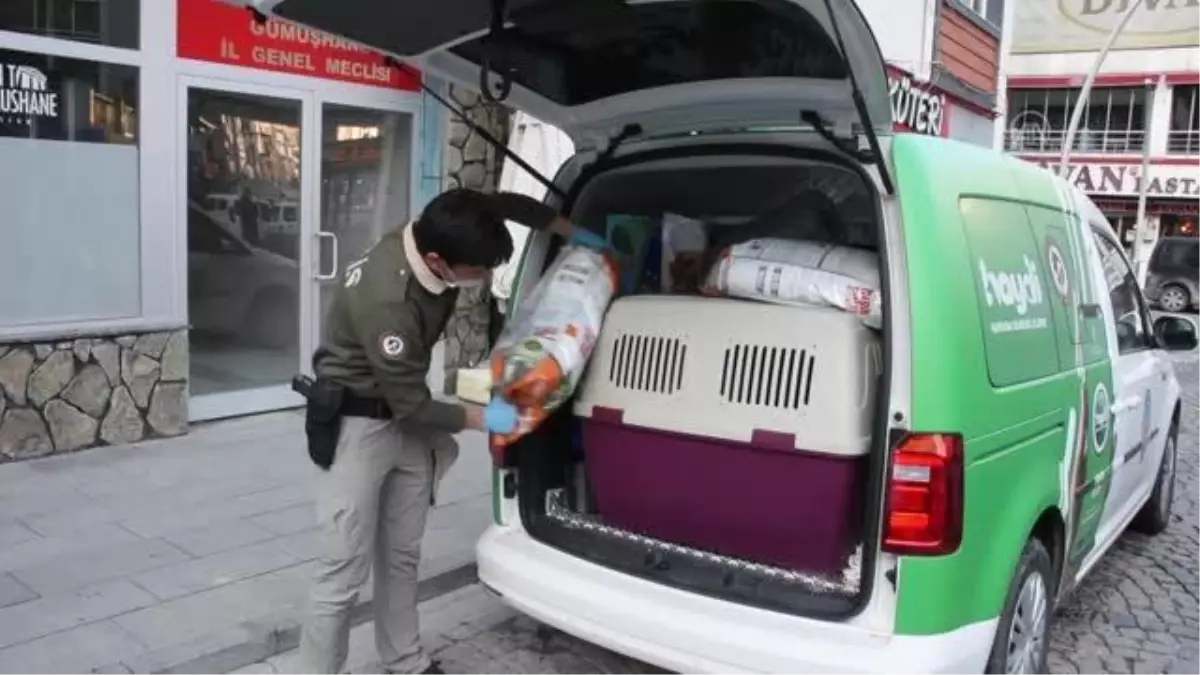 Son dakika haberi! GÜMÜŞHANE - Sokağa çıkma kısıtlamasında sokak hayvanlarını polisler besliyor