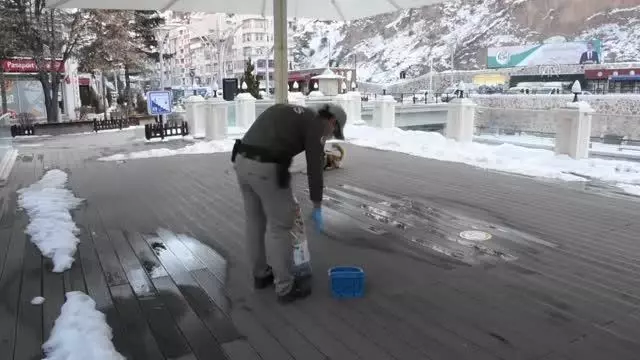 Son dakika haberi! GÜMÜŞHANE - Sokağa çıkma kısıtlamasında sokak hayvanlarını polisler besliyor Son dakika haberi! GÜMÜŞHANE - Sokağa çıkma kısıtlamasında sokak hayvanlarını polisler besliyor