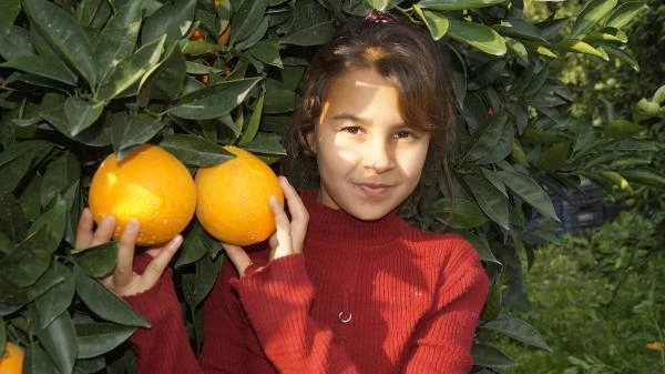 Koronavirüs ve düşük rekolte portakalın fiyatını uçurdu: dalında 4 lira