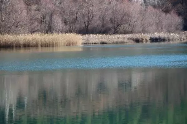Siyah benekli alabalığın neslini sürdürebilmesi için seferberlik Siyah benekli alabalığın neslini sürdürebilmesi için seferberlik