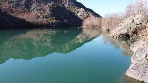 Siyah benekli alabalığın neslini sürdürebilmesi için seferberlik Siyah benekli alabalığın neslini sürdürebilmesi için seferberlik