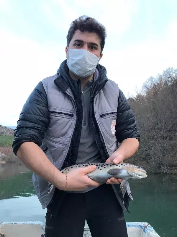 Siyah benekli alabalığın neslini sürdürebilmesi için seferberlik Siyah benekli alabalığın neslini sürdürebilmesi için seferberlik