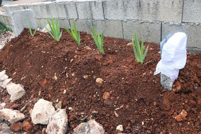 Ailenin avukatı: Feyzanur'un ölümünde cinayet şüphesi yok Ailenin avukatı: Feyzanur'un ölümünde cinayet şüphesi yok
