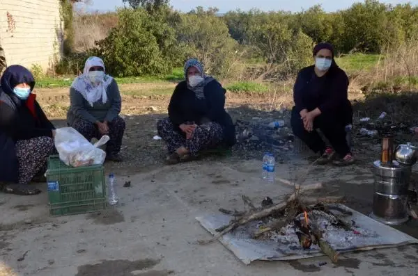 Arazideki 1000'in üzerinde ağaç kesilince, mirasçı kardeşler nöbete başladı Arazideki 1000'in üzerinde ağaç kesilince, mirasçı kardeşler nöbete başladı