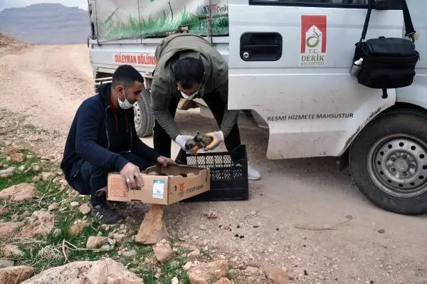 Bahçesine bırakılan 1'i ölü, 11 köpek yavrusu buldu Bahçesine bırakılan 1'i ölü, 11 köpek yavrusu buldu