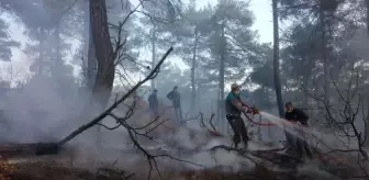 Son dakika haberleri... Bursa'da örtü yangını
