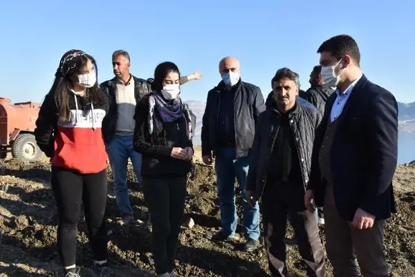 Dargeçit'te lavanta dikimine başladı Dargeçit'te lavanta dikimine başladı