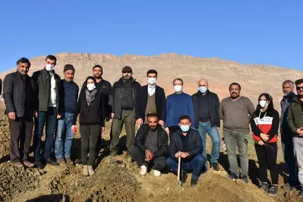 Dargeçit'te lavanta dikimine başladı Dargeçit'te lavanta dikimine başladı