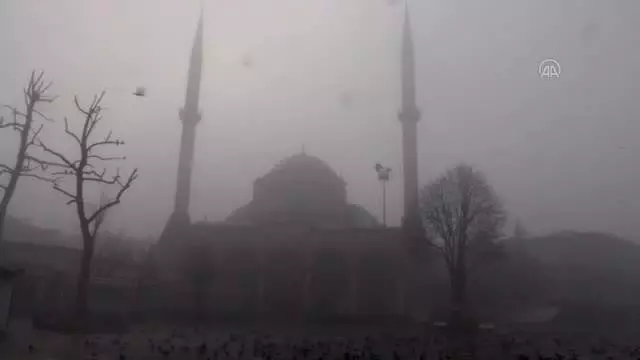 Düzce'de sis etkili oluyor Düzce'de sis etkili oluyor