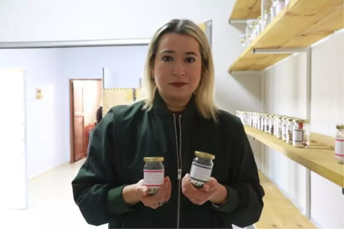 Karadeniz'in ilk tohum bankasında 378 çeşit atalık tohum kaydedildi