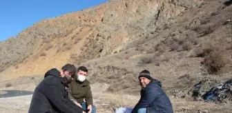 Kısıtlamada kuşları unutmadılar