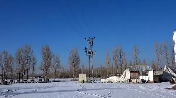 Kuşların elektrik akımına kapılmaması için trafo direğine cansız manken koydular Kuşların elektrik akımına kapılmaması için trafo direğine cansız manken koydular