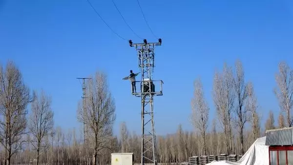 Kuşların elektrik akımına kapılmaması için trafo direğine cansız manken koydular Kuşların elektrik akımına kapılmaması için trafo direğine cansız manken koydular