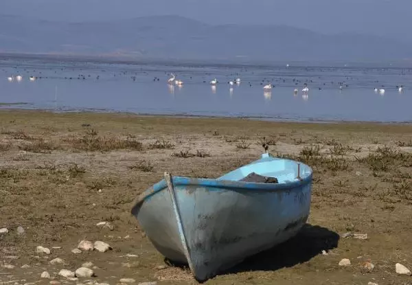 Manisa'nın 'kuş cenneti' Marmara Gölü'nden göç
