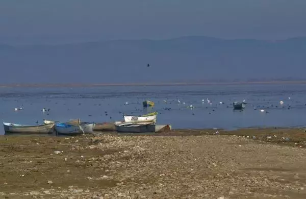 Manisa'nın 'kuş cenneti' Marmara Gölü'nden göç