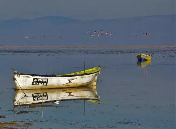 Manisa'nın 'kuş cenneti' Marmara Gölü'nden göç