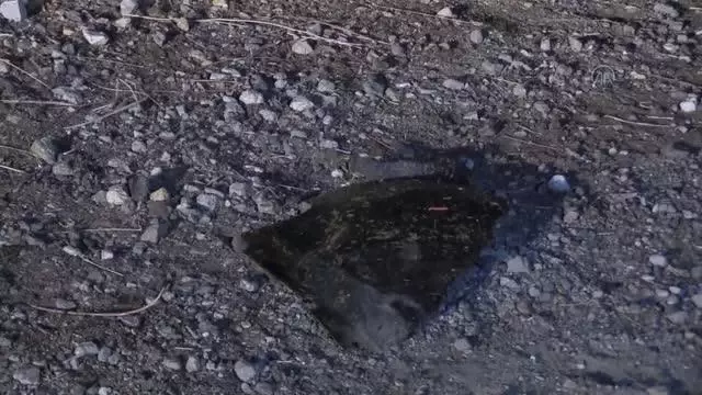 Otomobil koyun sürüsüne çarptı 2 kişi yaralandı Otomobil koyun sürüsüne çarptı 2 kişi yaralandı