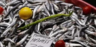Prof. Dr. Berik: Haftada üç gün hamsi yiyerek, D vitamini ihtiyacımızı karşılayabiliriz