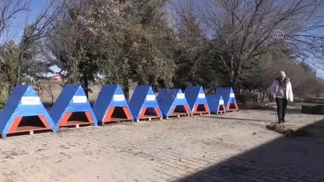 ŞANLIURFA - Ahşap paletler ve meyve kasaları sokak hayvanları için sıcak yuvaya dönüşüyor ŞANLIURFA - Ahşap paletler ve meyve kasaları sokak hayvanları için sıcak yuvaya dönüşüyor