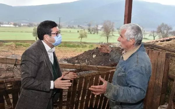 Sokak köpekleri, ağıldaki 63 koyun ve kuzuyu telef etti Sokak köpekleri, ağıldaki 63 koyun ve kuzuyu telef etti