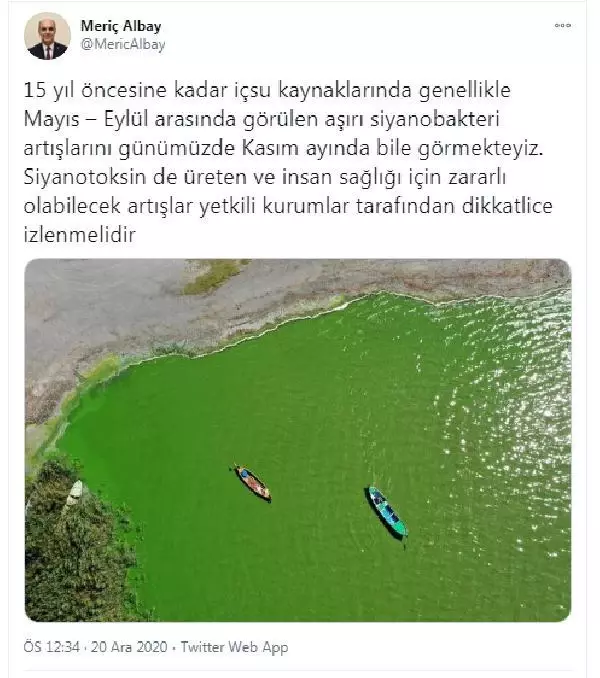 Su kaynaklarında siyanotoksin tehlikesi