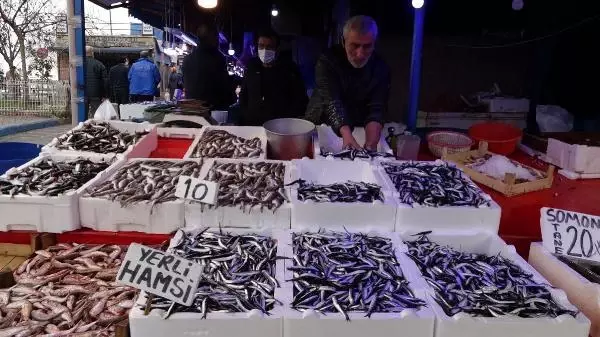 Uzmanlardan, 'hamsi nesli tükenebilir' uyarısı Uzmanlardan, 'hamsi nesli tükenebilir' uyarısı