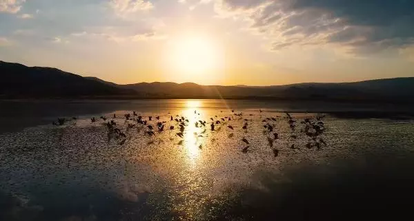 Son dakika! Yarışlı Gölü'nün hayran bıraktığı görüntüleri Vali Arslantaş paylaştı Son dakika! Yarışlı Gölü'nün hayran bıraktığı görüntüleri Vali Arslantaş paylaştı