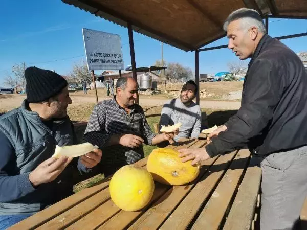Yazın hasat edilen kavunlar, kışın sofraları tatlandırıyor Yazın hasat edilen kavunlar, kışın sofraları tatlandırıyor