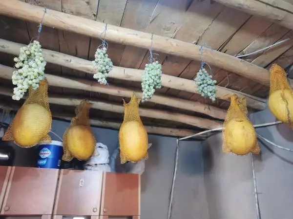 Yazın hasat edilen kavunlar, kışın sofraları tatlandırıyor Yazın hasat edilen kavunlar, kışın sofraları tatlandırıyor
