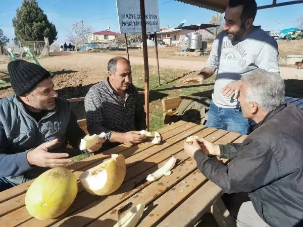 Yazın hasat edilen kavunlar, kışın sofraları tatlandırıyor Yazın hasat edilen kavunlar, kışın sofraları tatlandırıyor