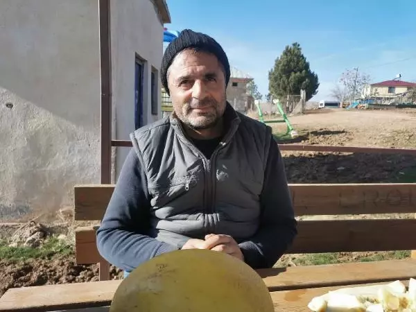 Yazın hasat edilen kavunlar, kışın sofraları tatlandırıyor Yazın hasat edilen kavunlar, kışın sofraları tatlandırıyor