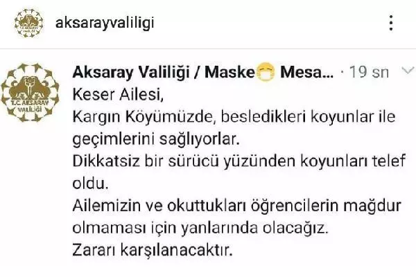 Trafik kazasında koyunları telef olan Şerife nineyi Aksaray Valiliği sevindirdi Trafik kazasında koyunları telef olan Şerife nineyi Aksaray Valiliği sevindirdi