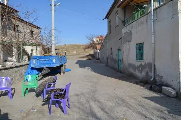 Trafik kazasında koyunları telef olan Şerife nineyi Aksaray Valiliği sevindirdi Trafik kazasında koyunları telef olan Şerife nineyi Aksaray Valiliği sevindirdi