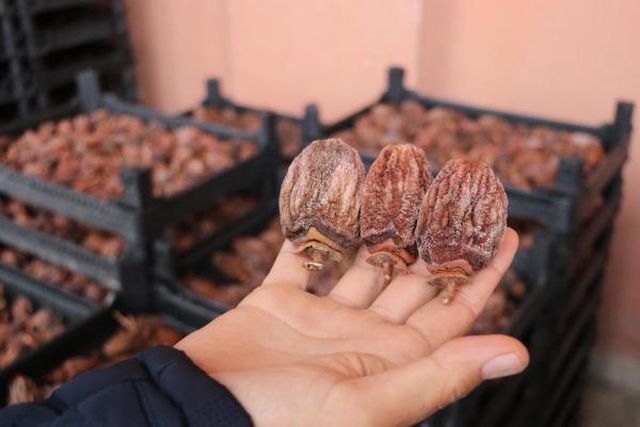 Üretici cennet hurmasının fiyatından memnun