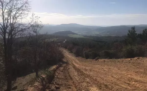 Domuz avında tüfekle vuruldu; 3 arkadaşı gözaltına alındı