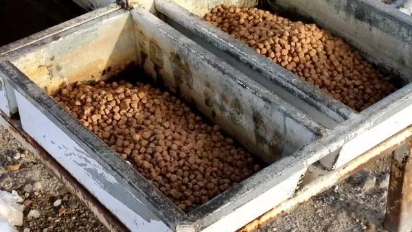 Erciş'te sokak hayvanları unutulmadı Erciş'te sokak hayvanları unutulmadı