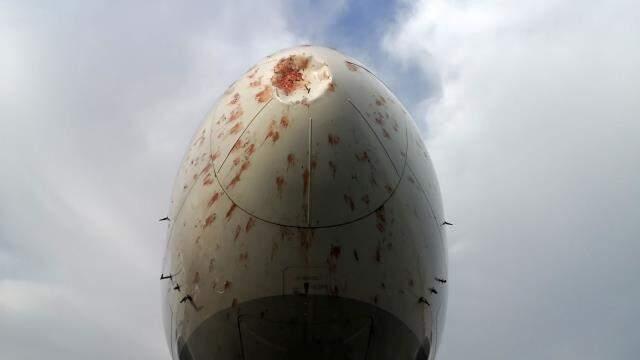 Kuş sürüsüne giren THY'nin kargo uçağı Atatürk Havalimanı'na geri döndü