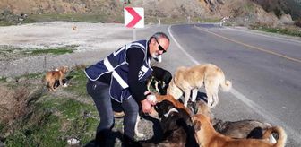 Son dakika haberi... Polisler, aç kalan hayvanları elleriyle besledi