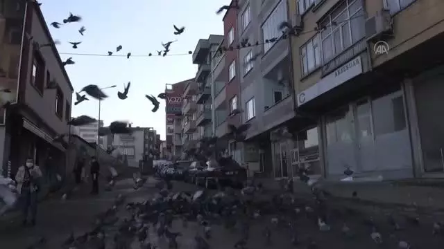 Sokağa çıkma kısıtlamalarında da güvercinleri beslemeyi ihmal etmiyor Sokağa çıkma kısıtlamalarında da güvercinleri beslemeyi ihmal etmiyor