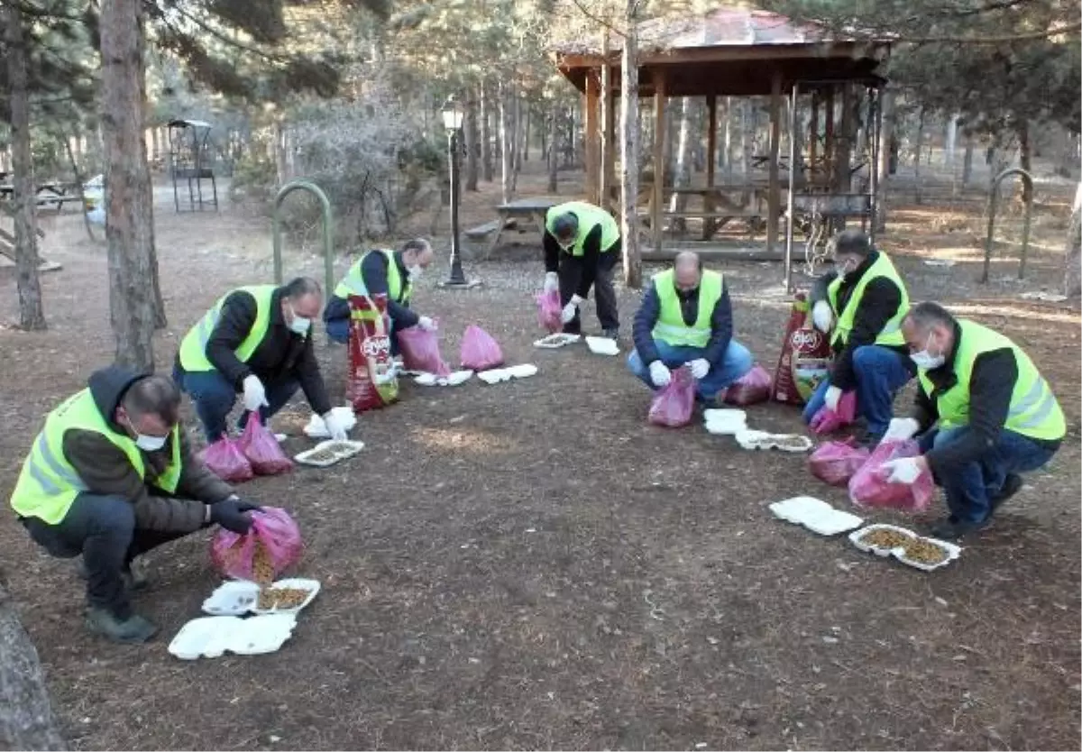 Yozgat'ta sokak hayvanları için mama bırakıldı