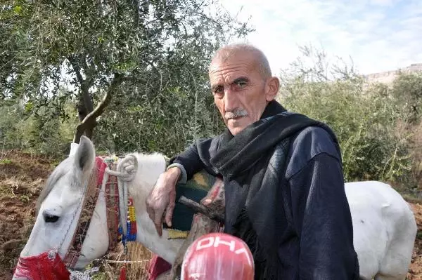 40 yıldır engebeli arazilerde atla çift sürerek geçimini sağlıyor 40 yıldır engebeli arazilerde atla çift sürerek geçimini sağlıyor