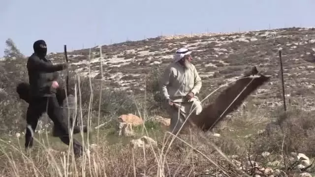 Filistin'in ihtiyar delikanlısı sapanıyla İsrail askerlerine karşı direniyor Filistin'in ihtiyar delikanlısı sapanıyla İsrail askerlerine karşı direniyor