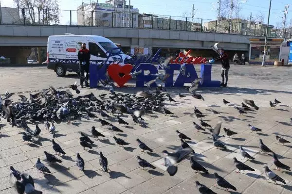 Kartal Belediyesi, 4 günlük kısıtlamada sokak hayvanlarını unutmadı Kartal Belediyesi, 4 günlük kısıtlamada sokak hayvanlarını unutmadı