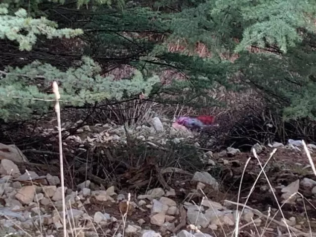 Kayıp olarak aranırken ölü bulunan Gülsüm Doğan ilk belirlemelere göre soğuktan donarak ölmüş Kayıp olarak aranırken ölü bulunan Gülsüm Doğan ilk belirlemelere göre soğuktan donarak ölmüş