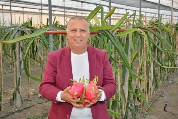 'Manavgat tropikal meyve üretiminin başkenti olacak'