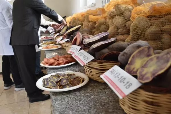 Niğde'de 10 renkte cipslik patates üretildi Niğde'de 10 renkte cipslik patates üretildi