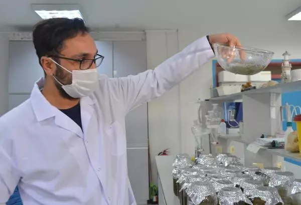 Paketli gıdalarda 'mikroplastik' tehlikesi Paketli gıdalarda 'mikroplastik' tehlikesi