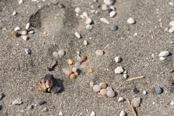 Paketli gıdalarda 'mikroplastik' tehlikesi Paketli gıdalarda 'mikroplastik' tehlikesi